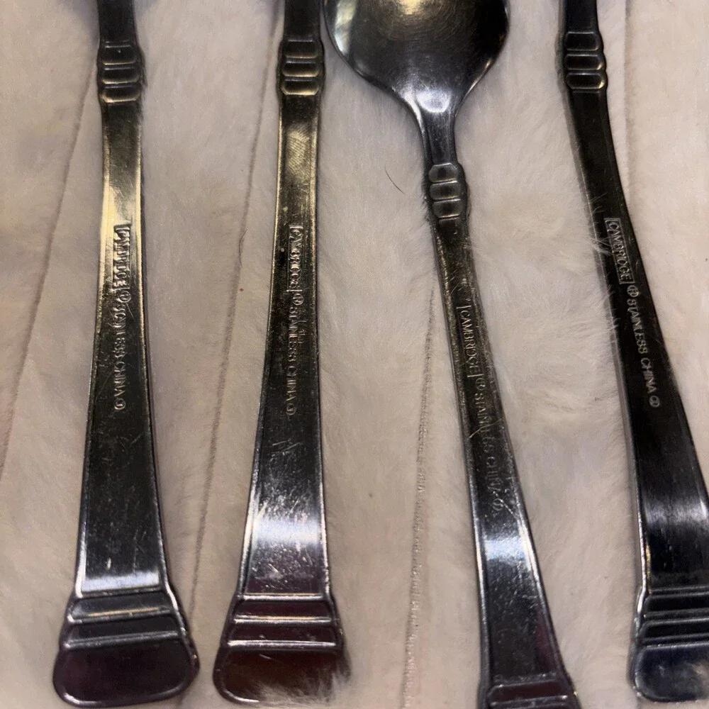 Lot of 6 Cambridge Stainless CODIE Glossy Spoons - 5 Place Soup & 1 Teaspoon